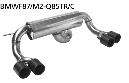 Bastuck Endschalldämpfer mit Doppel-Endrohr Carbon 2 x Ø 85 mm LH + RH ohne Abgasklappe für BMW M2 F87 ab Bj. 2015-